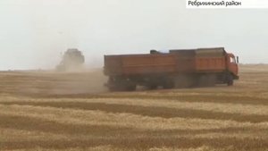 В Ребрихинском районе Алтайского края научились снижать влажность зерна