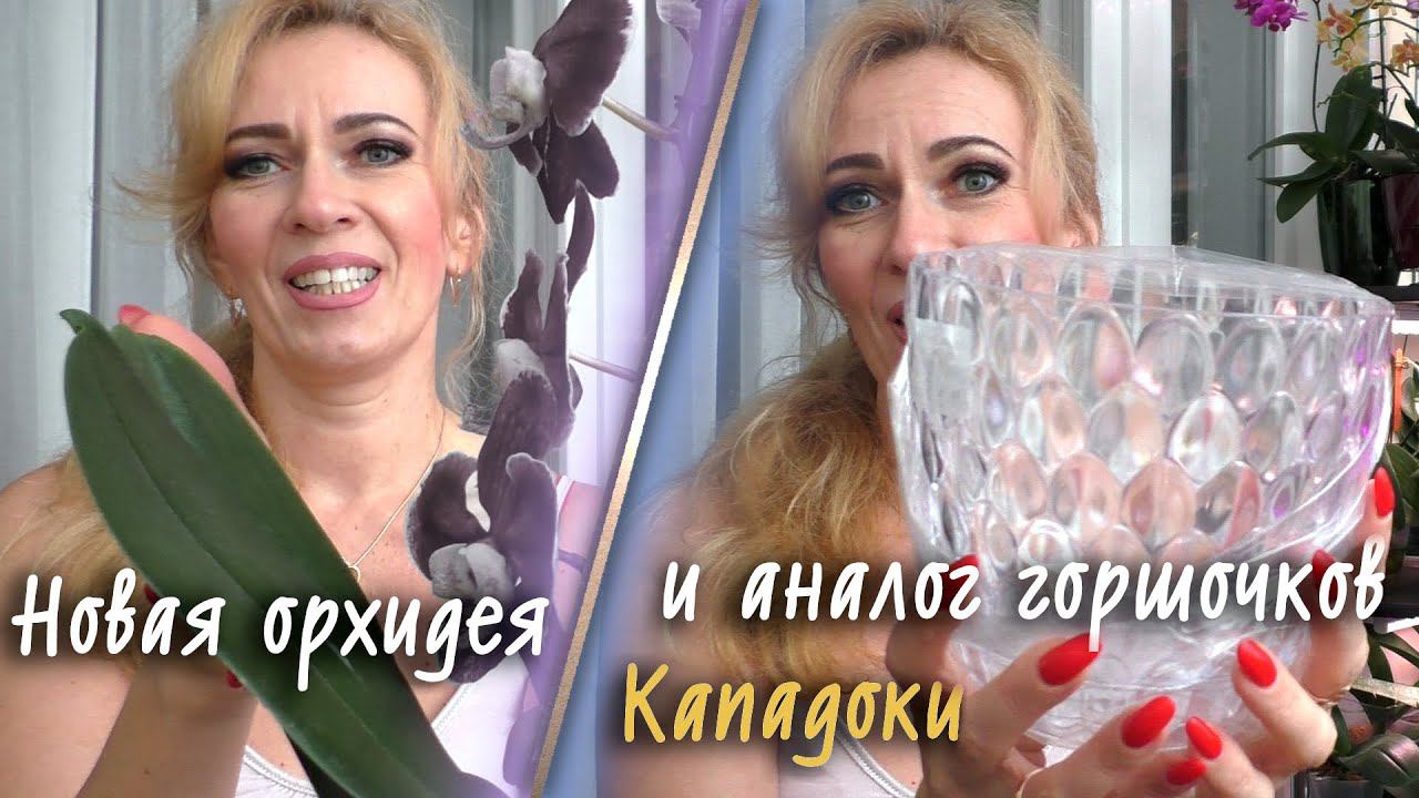 Орхидеи. НОВЫЙ БРИЛЛИАНТ!