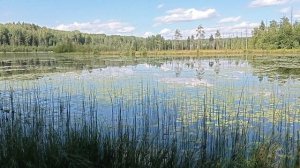 озеро Топорово Белозерский район часть 1