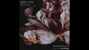 Pedro Costa - State Of Mind (Nici Frida Remix)