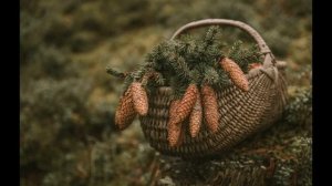 Константин Паустовский – Корзина с еловыми шишками