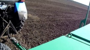 Посев гороха.