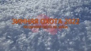 Зимняя охота 2022 неудачная охота на зайца