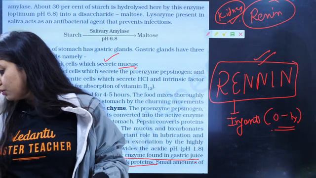 Digestion and Absorption Class 11 - L3 | NEET Biology | NEET 2022 Preparation | Meenakshi Ma'am смотреть онлайн