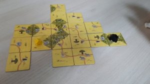 Каркассон Сафари - Обзор