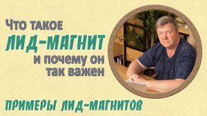 Лид-магнит что это такое, почему он так важен. Идеи и примеры Лид-магнитов