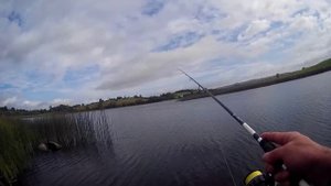 окунь на SPINMAD TAIL SPINNER