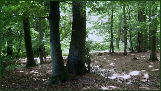 Дыра в пространстве / Raumloch смотреть онлайн