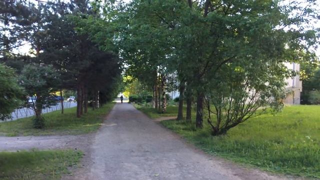 Как правильно обрезать деревья смотреть онлайн