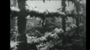 ЖАК  КУСТО   /  10 ФАНТОМОВ ГЛУБИНЫ  / Ten fathoms deep 1944 г