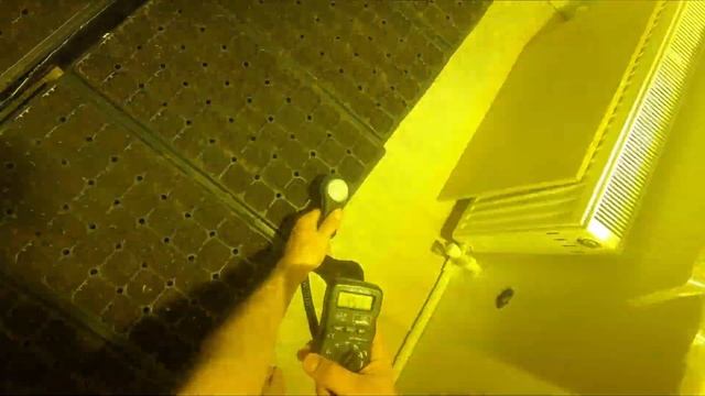 Посеяли 50 различных гибридов томатов. Торф Mikskaar. смотреть онлайн