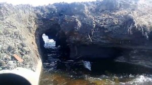 Саргатское Омская область