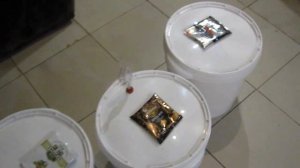 Дрожжи "Хмельные", Hard Test