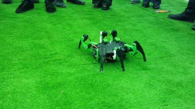 Танцующий краб смотреть онлайн