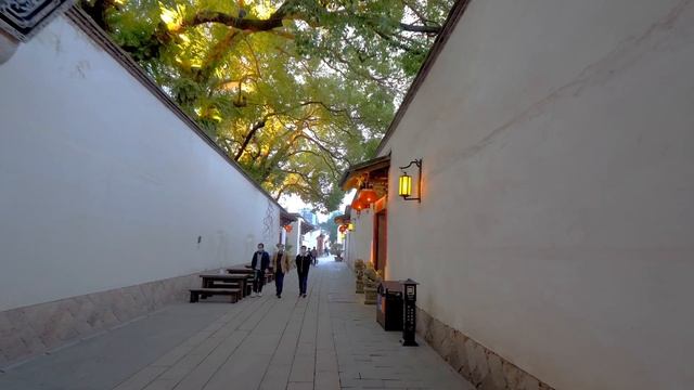 Exploring The Alleys In Fuzhou | The Historical 3 Lanes and 7 Alleys | Fujian, China | 福州 | 三坊七巷 смотреть онлайн