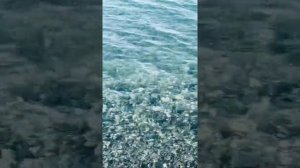 Абхазия Гагры ноябрь скоро зима и новый год погода для отдыха идеал тепло и солнечно спеют мандарин