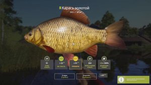 Русская рыбалка 4 Открыл ПВА