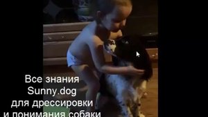 Собака укусила ребенка правила безопасности или почему пес кусает детей