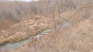 Река Тарка. Часть 2. Река которую мы заслужили. Павловский район, Нижегородская область.