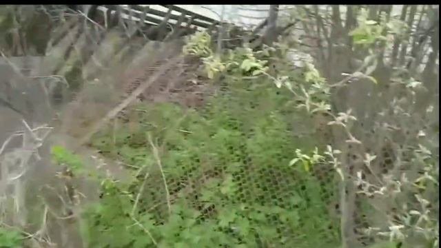 На злобу дня. Часть 2. Поселок Фанерник, Никольское сельское поселение, Костромской район. смотреть онлайн