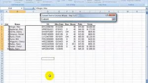 Excel 2007: Convert Text To Columns