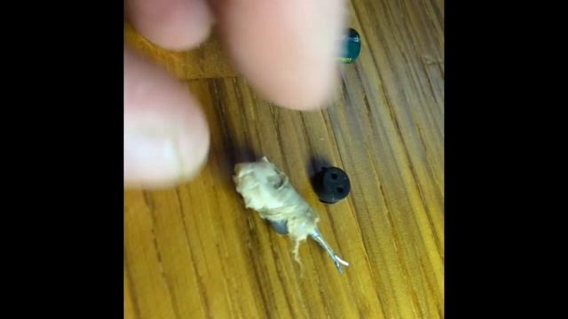 Светодиодная лампа изнутри смотреть онлайн