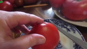 Томат Будёновка!