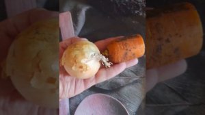 Суп с печенью и гречкой