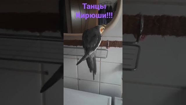 Брачный танец Кирюши!..