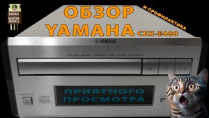 Yamaha CDX E400 ОБЗОР