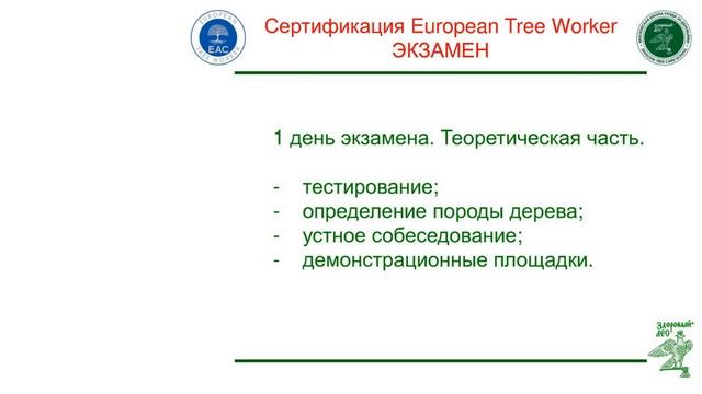 Сертификация European Tree Worker. Обучение и сертификация специалистов по уходу за деревьями смотреть онлайн