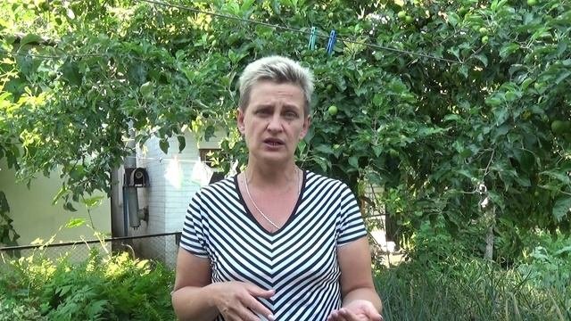 3 способа избавиться от пухопероеда и клеща
