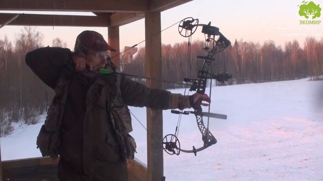 Охота с луком на благородного оленя