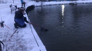 Ловля форели открытая вода РК «Фишка» Петряиха