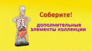 Презентация коллекции «Тело Человека» (DeAgostini)