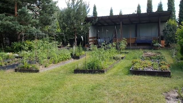 Сад дизайнера смотреть онлайн