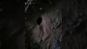 Как строил стройбат