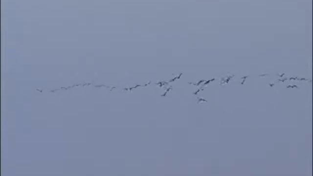 осень в Ростовском заповеднике смотреть онлайн