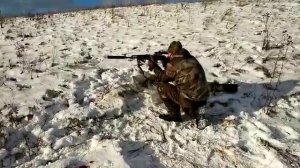 Карабин сайга 223