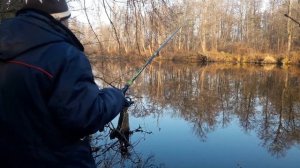 Рыбалка на лесном озере. рыбалка на ротана.fishing on rotona