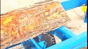Ленточная пилорама ПЛП АСТРА ЕС