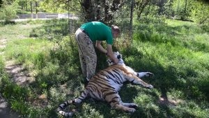 У Василисы вновь четверо здоровых малышей!