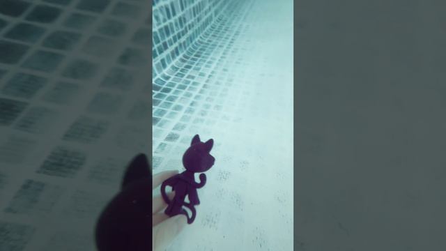 Кэтнеп решил искупаться😂