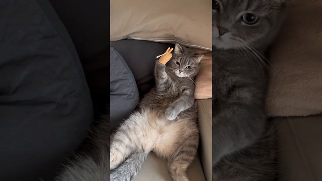 Перекур