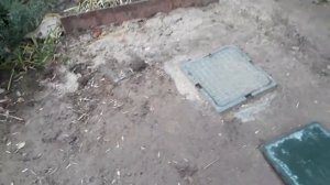 Высокие грунтовые воды септик.