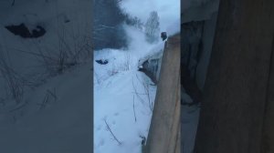 Баня землянка "+"и "-"