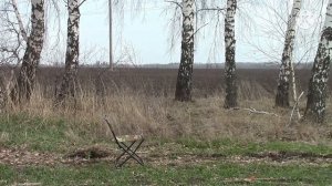 Помпа Бекас-3 ,калибр16.
