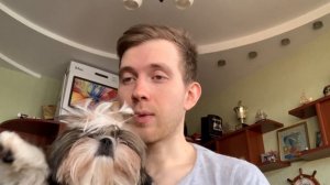 Шицу- не собака, а комок счастья и Маленький Лев⁉️как выглядит ⁉️