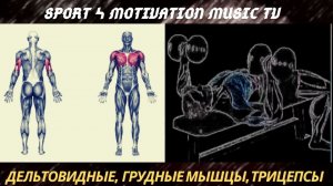 Жим гантелей лежа на наклонной скамье.