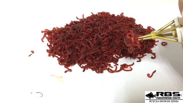 Пучкователь мотыля